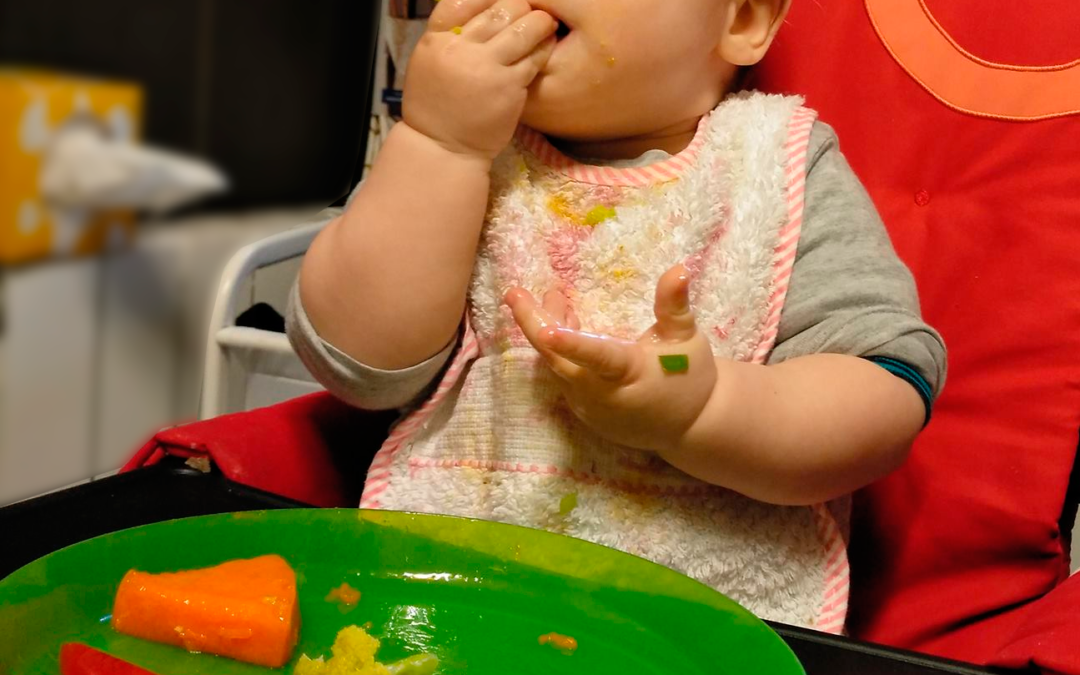 Talle de alimentación complementaria autorregulada por el bebe